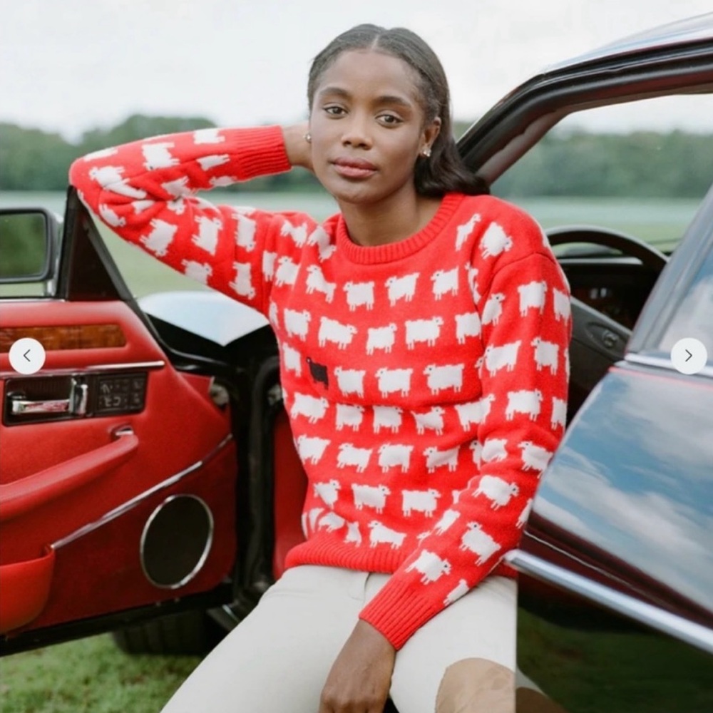 Rowing Blazers x Warm & Wonderful Women’s Diana Edition Sheep Sweater NWT XXL - Picture 10 of 11